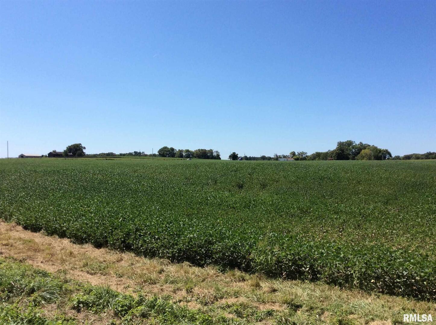 0 Walnut Hill Road Dix, IL 62830 - Photo 1 of 12 a view of a bunch of trees in a field