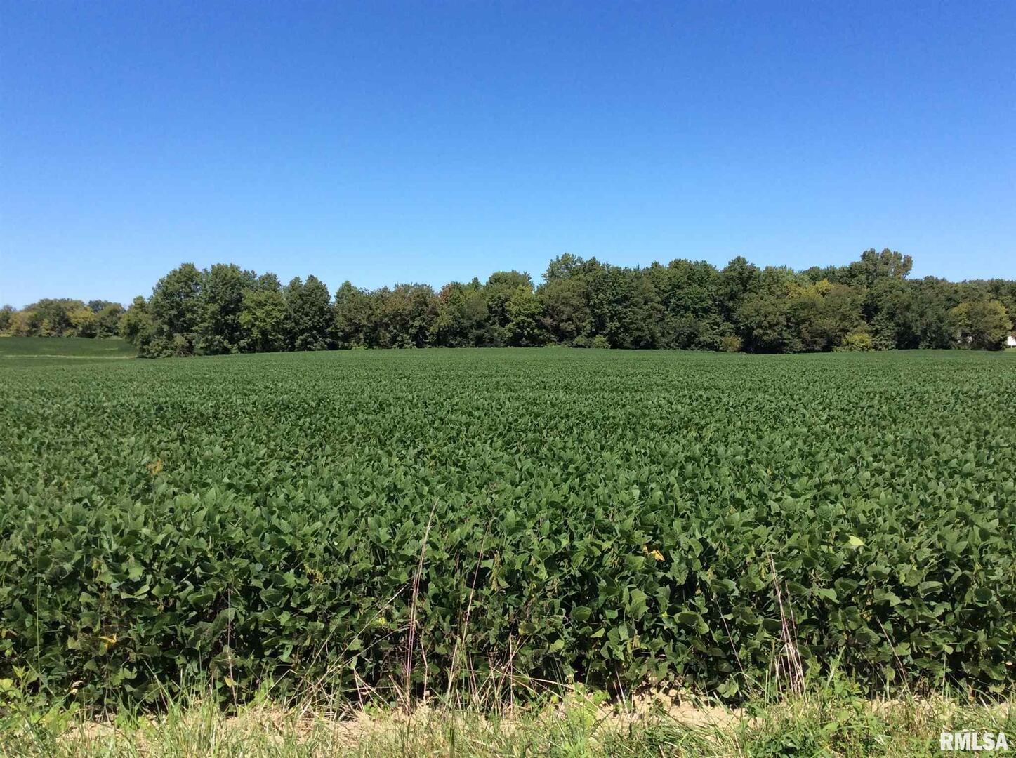 0 Walnut Hill Road Dix, IL 62830 - Photo 12 of 12 a view of a lush green space
