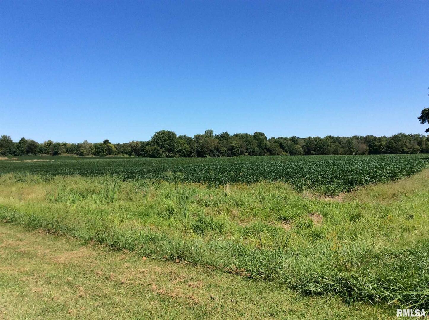 0 Walnut Hill Road Dix, IL 62830 - Photo 2 of 12 a view of a lake with a yard