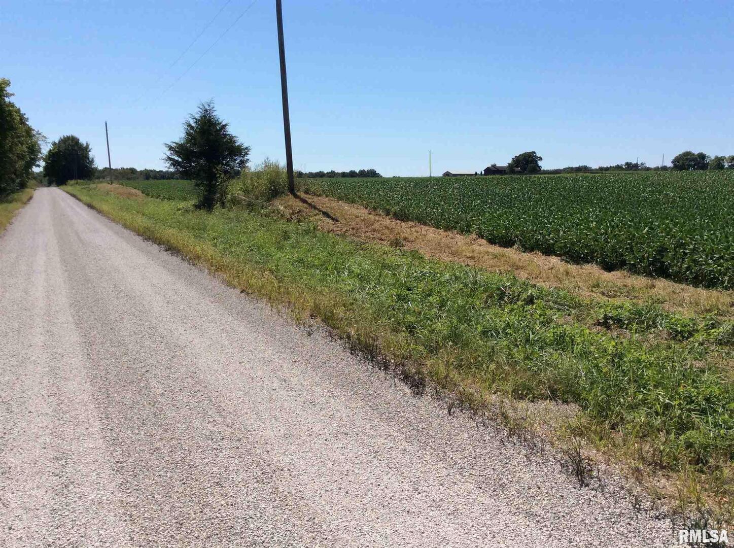 0 Walnut Hill Road Dix, IL 62830 - Photo 3 of 12 a view of a road with a big yard