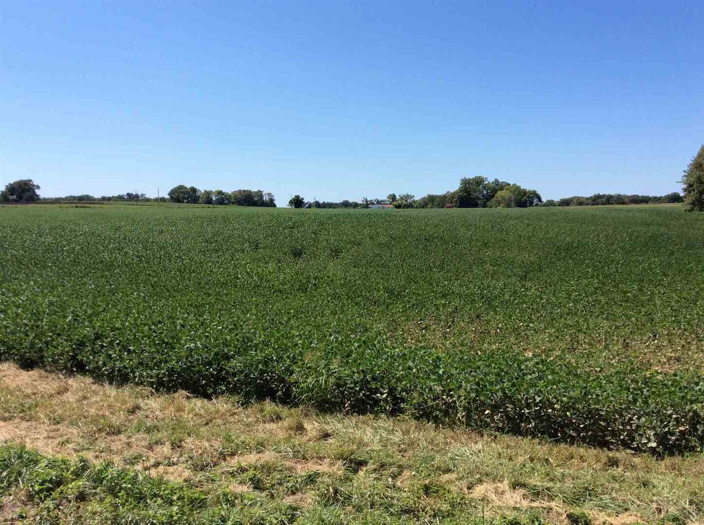 0 Walnut Hill Road Dix, IL 62830 - Photo 7 of 12 a view of a field with a tree in the background