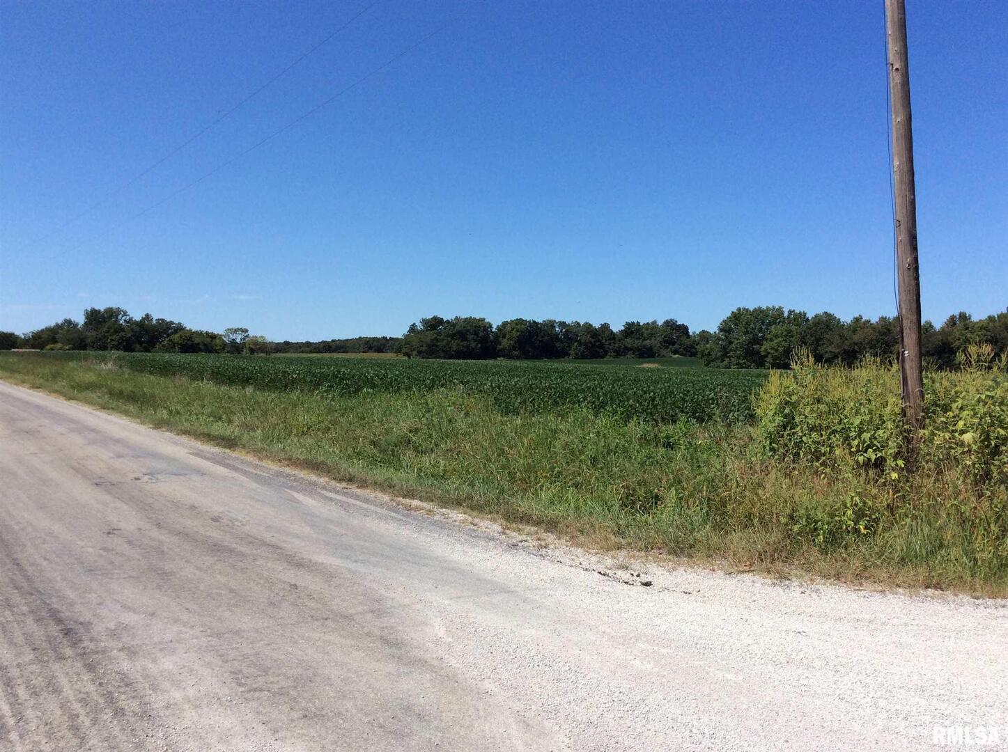 0 Walnut Hill Road Dix, IL 62830 - Photo 10 of 12 a view of a lake with a big yard