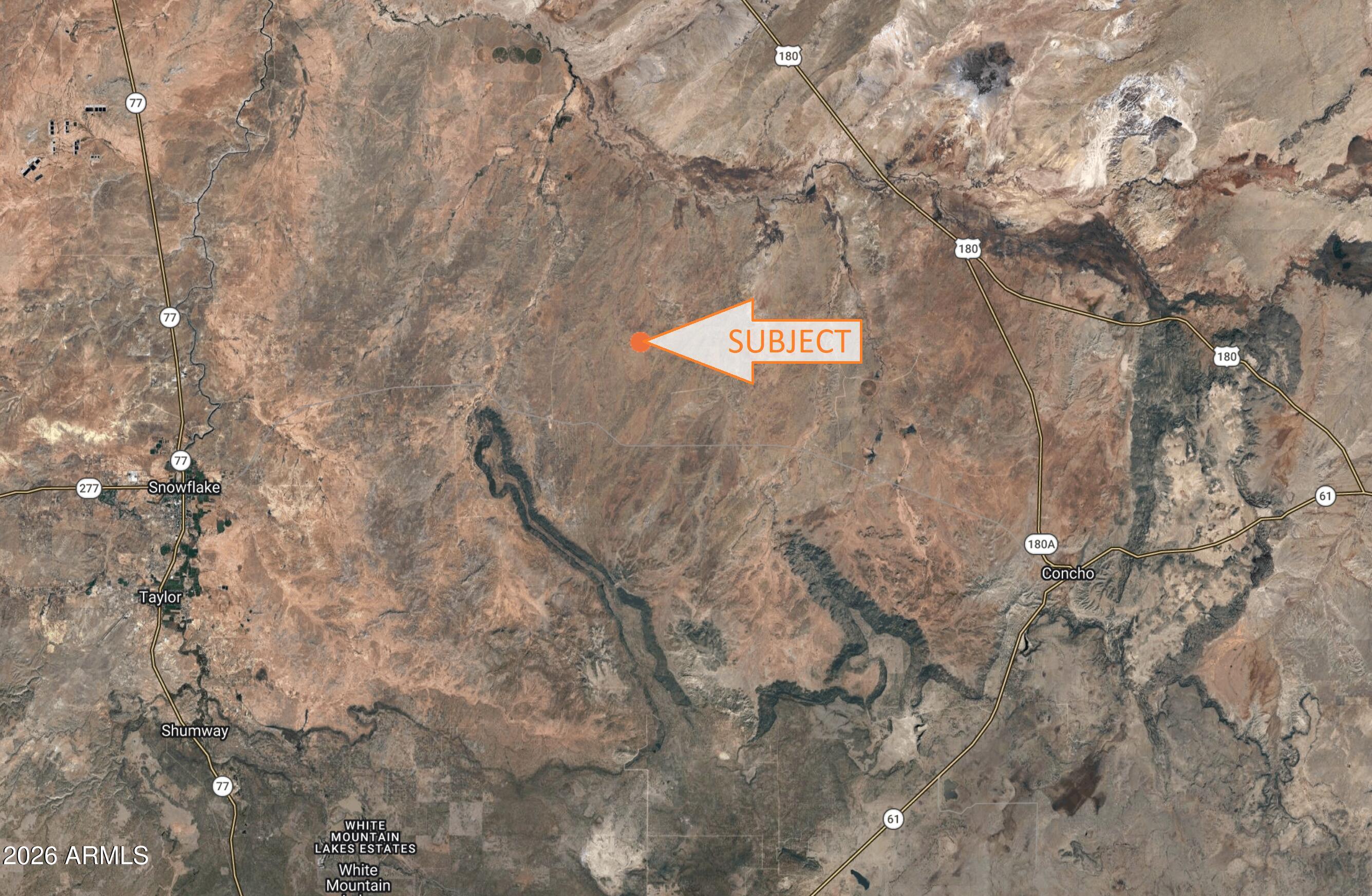 141 County Road Concho, AZ 85924 - Photo 1 of 15 a view of a dry tree in a forest