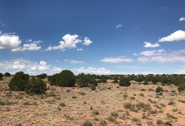 141 County Road Concho, AZ 85924 - Photo 11 of 15 a view of a sky