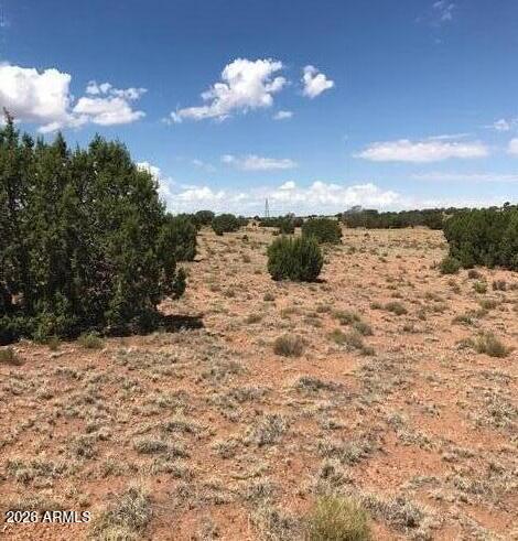 141 County Road Concho, AZ 85924 - Photo 12 of 15 a view of a lake with a mountain