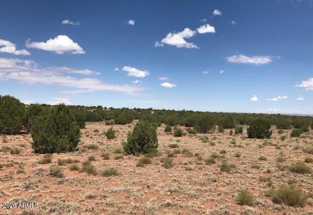 141 County Road Concho, AZ 85924 - Photo 13 of 15 a view of a lake