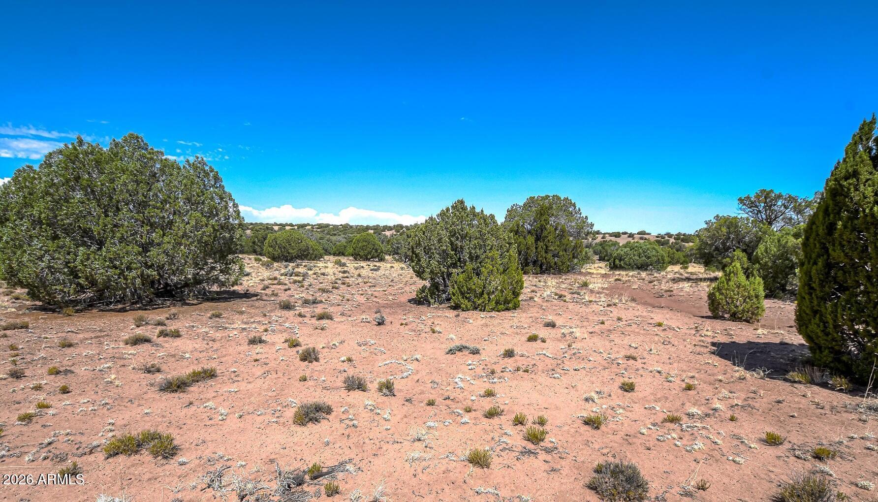 141 County Road Concho, AZ 85924 - Photo 14 of 15 a view of a dry yard with a tree