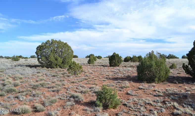 141 County Road Concho, AZ 85924 - Photo 9 of 15 a view of a dry yard with wooden fence