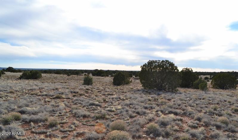 141 County Road Concho, AZ 85924 - Photo 10 of 15 a view of a dry yard with wooden fence
