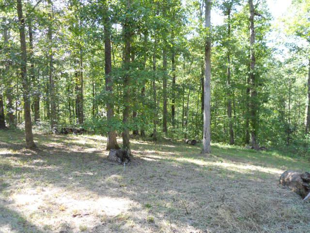 1250 Campbell Ridge Road Kingston Springs, TN 37082 - Photo 14 of 18 a view of outdoor space and tree