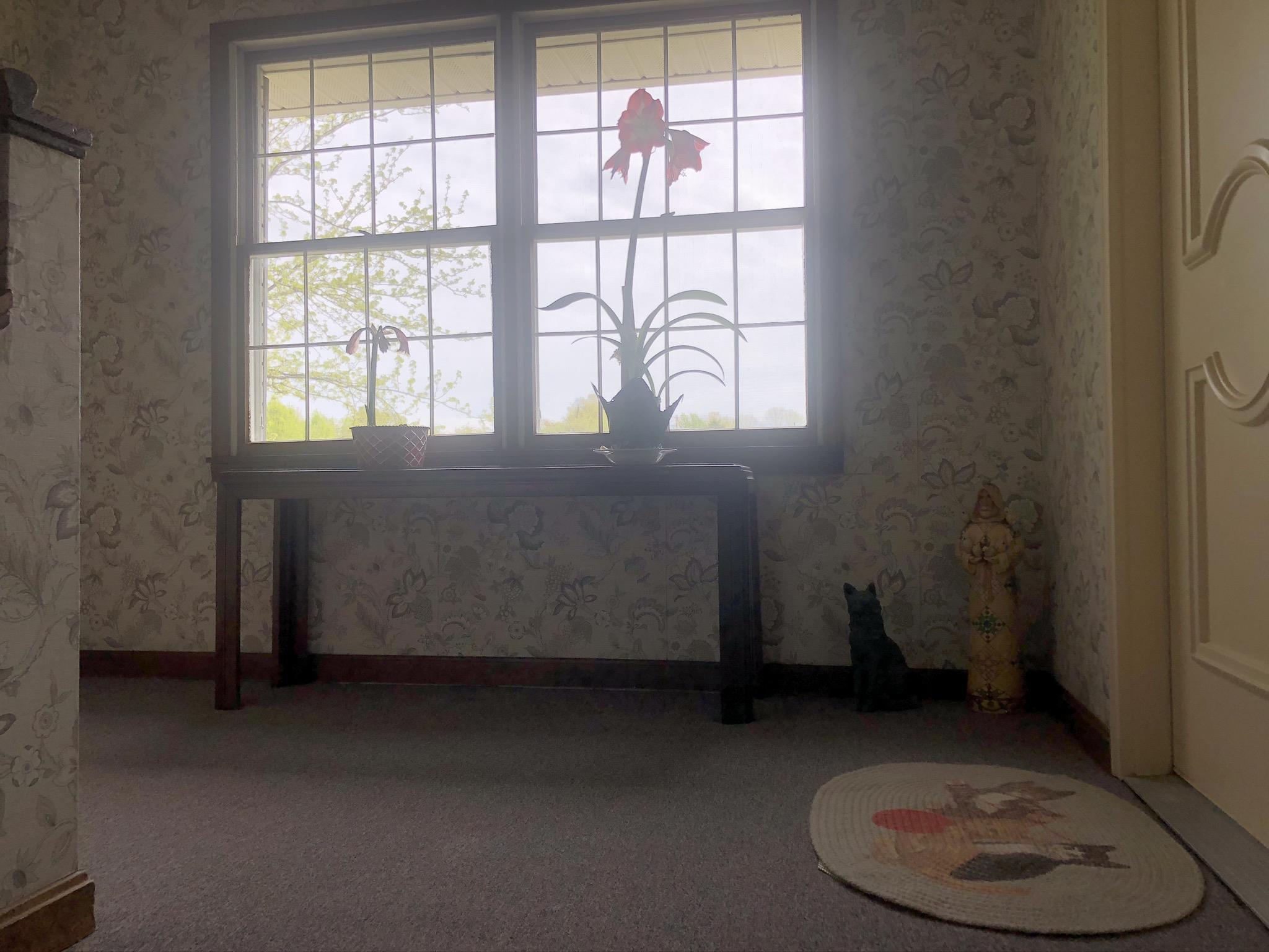6606 Newburgh Road Evansville, IN 47715 - Photo 19 of 23 Gallery Image 19