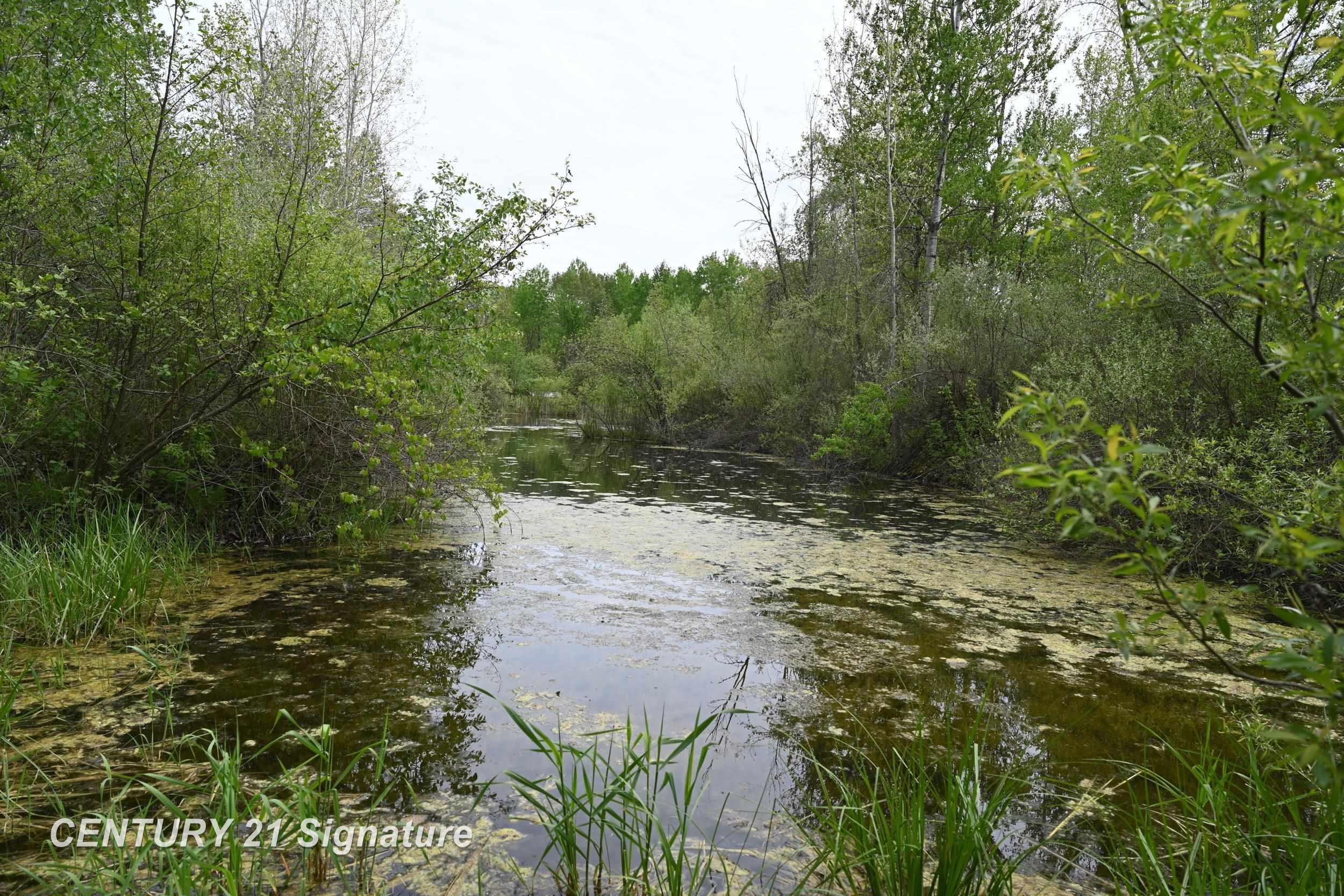 150 East Winegars Road Beaverton, MI 48612 - Photo 73 of 74