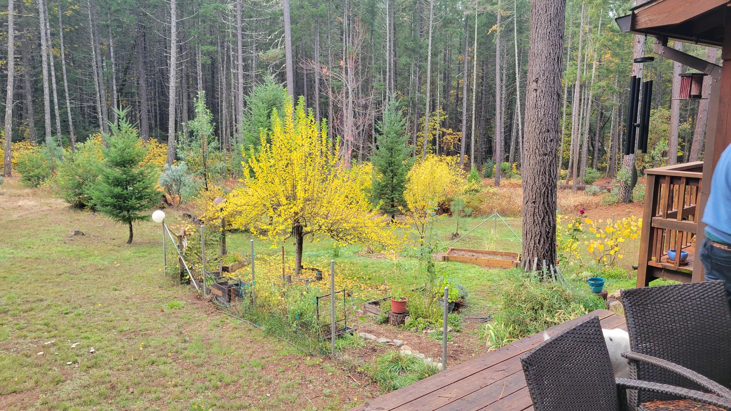 707 McMullen Creek Road Selma, OR 97538 - Photo 52 of 55