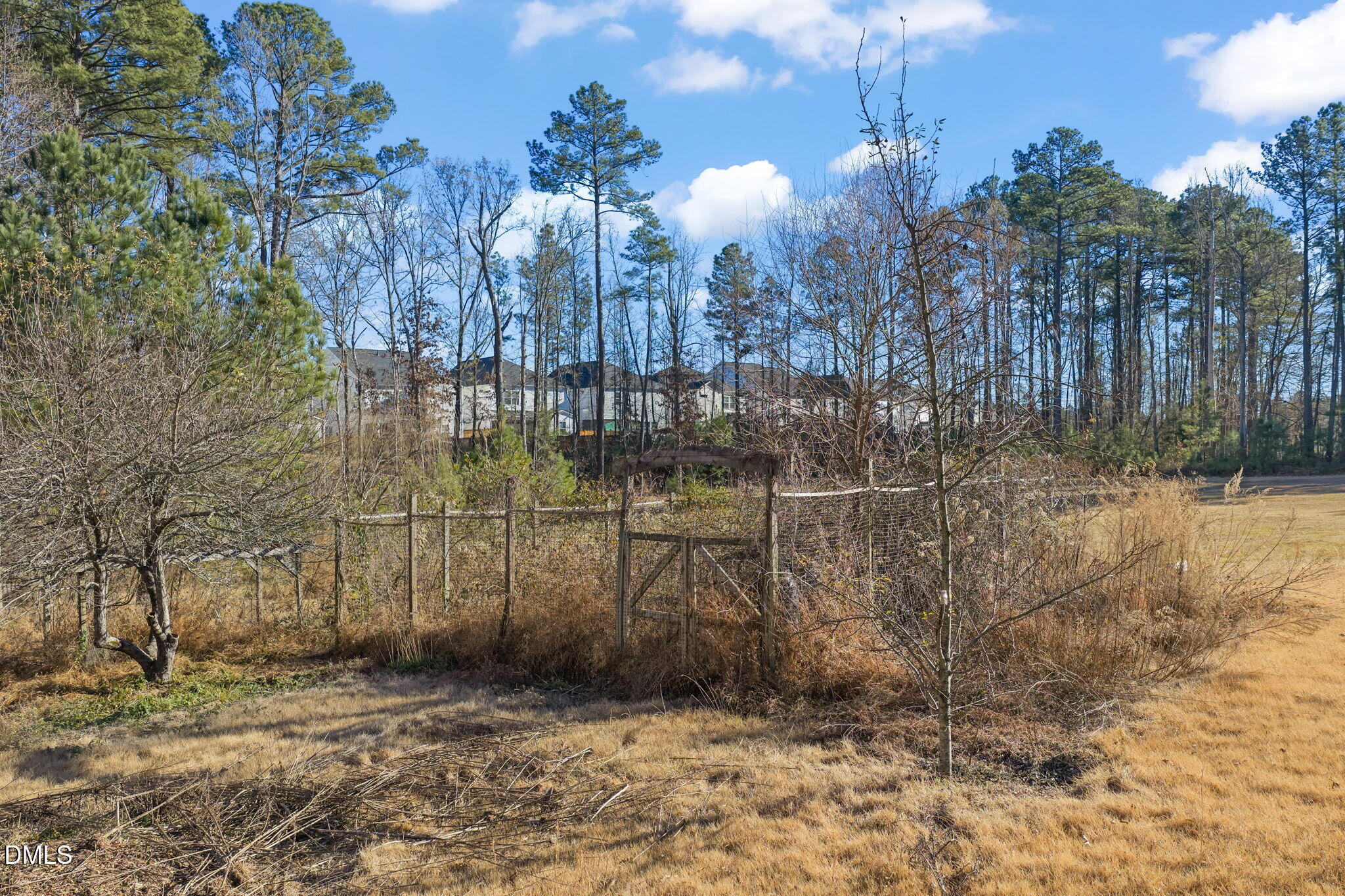 2802 Glover Road Durham, NC 27703 - Photo 35 of 44 a view of a yard