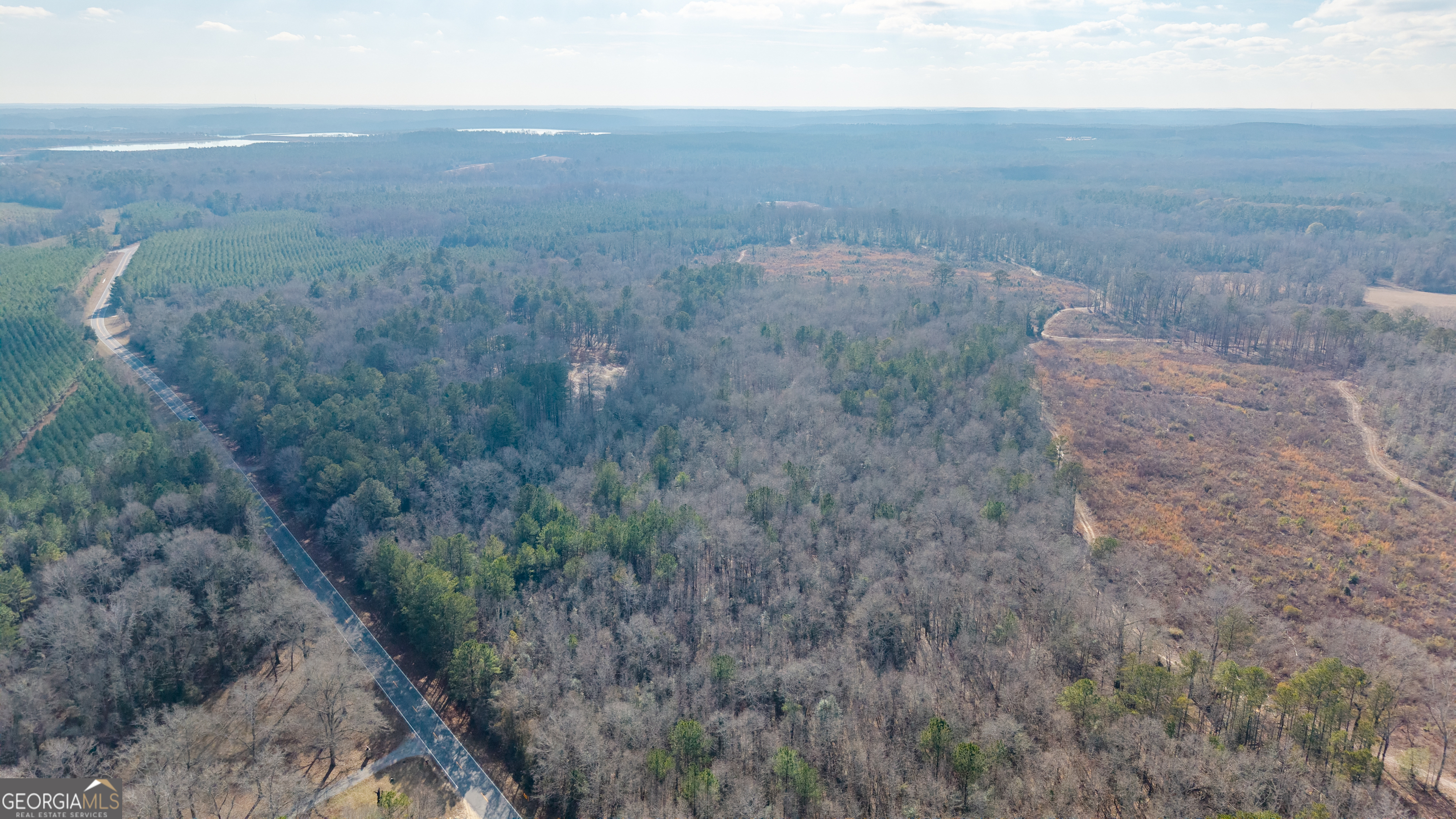1761 East H Snow Road McIntyre, GA 31054 - Photo 4 of 7
