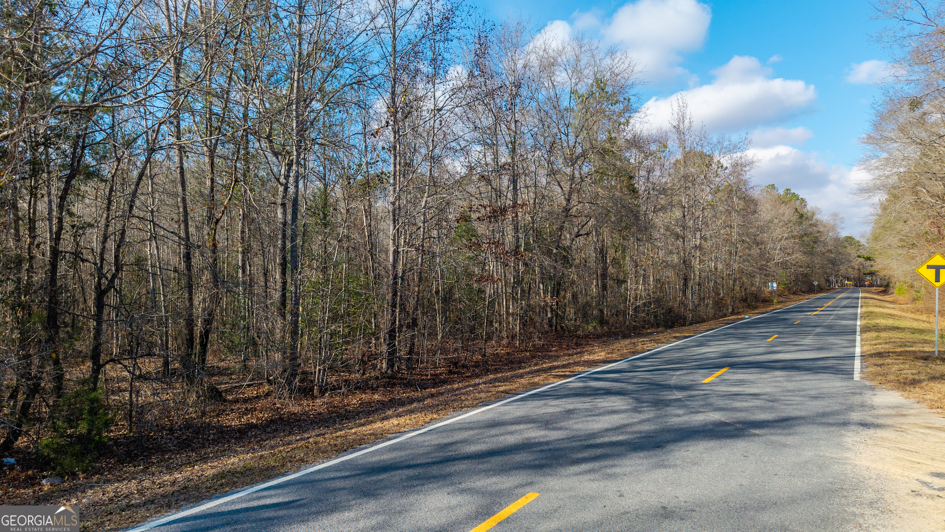 1761 East H Snow Road McIntyre, GA 31054 - Photo 6 of 7