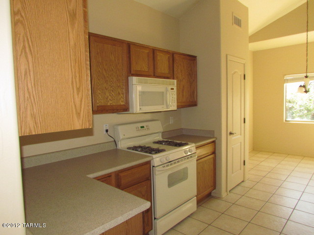 3606 East Fjord Pony Road Tucson, AZ 85739 - Photo 22 of 42