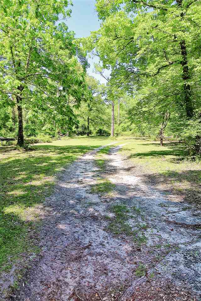 8866 Flicker Road Tallahassee, FL 32305 - Photo 3 of 28