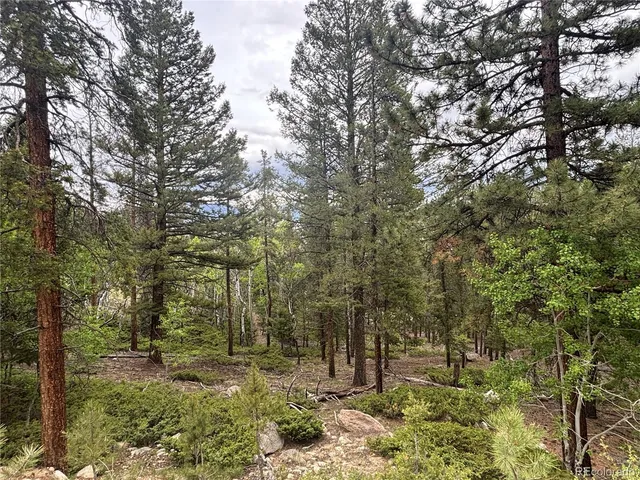 a big yard with lots of green space and house