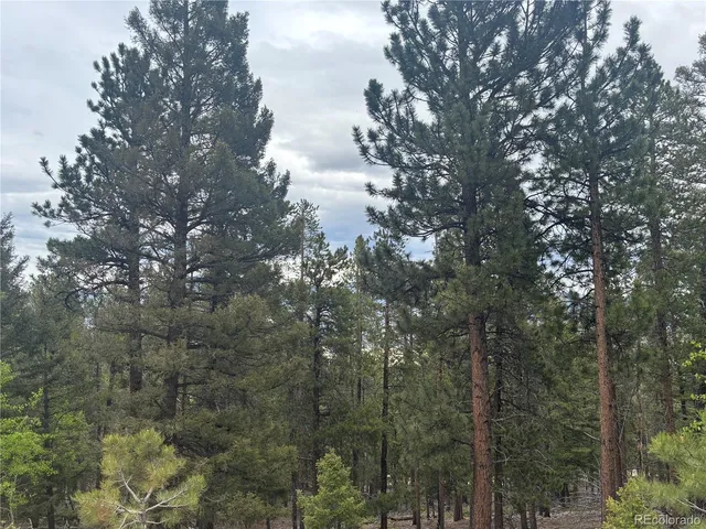 a view of a forest of a house