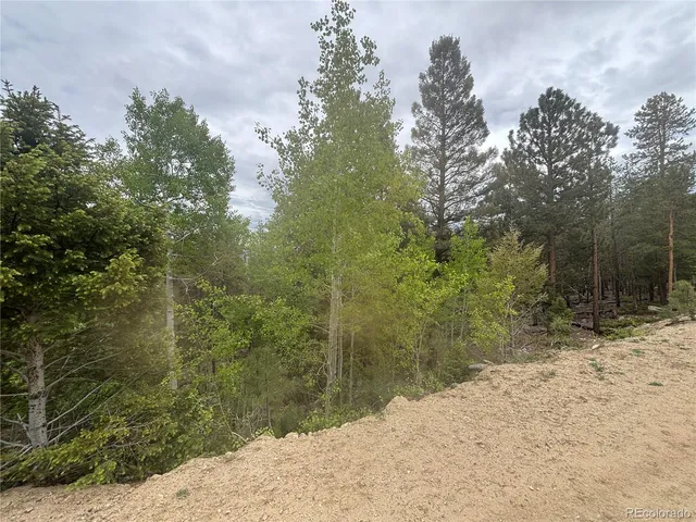 a view of a dry yard with trees