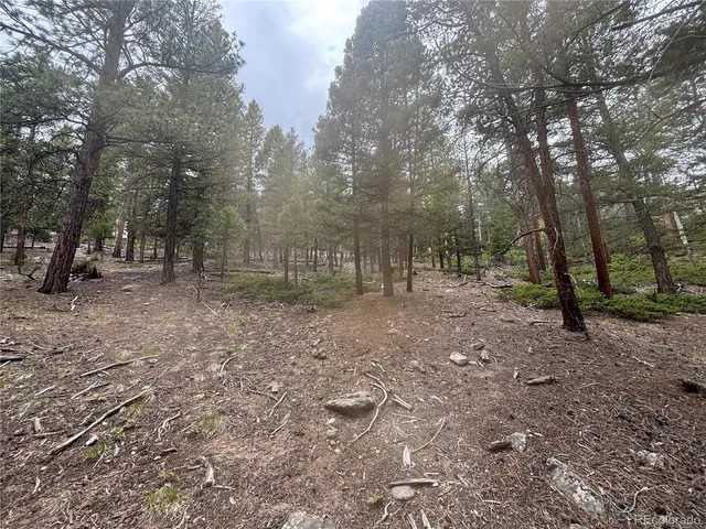 a view of outdoor space with trees