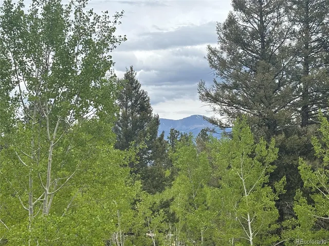 a aerial view of a house with a yard and large trees