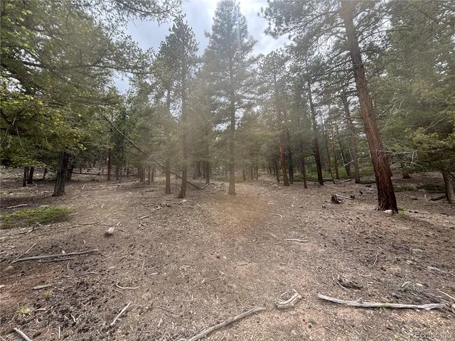 a view of outdoor space with trees