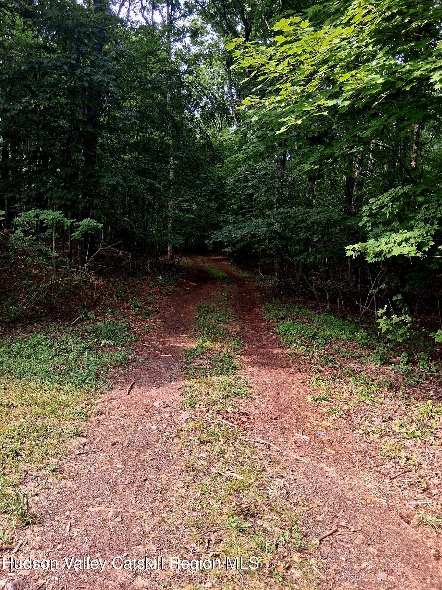 248 Canniff Road Freehold, NY 12431 - Photo 20 of 20 IMG_20260811_215959