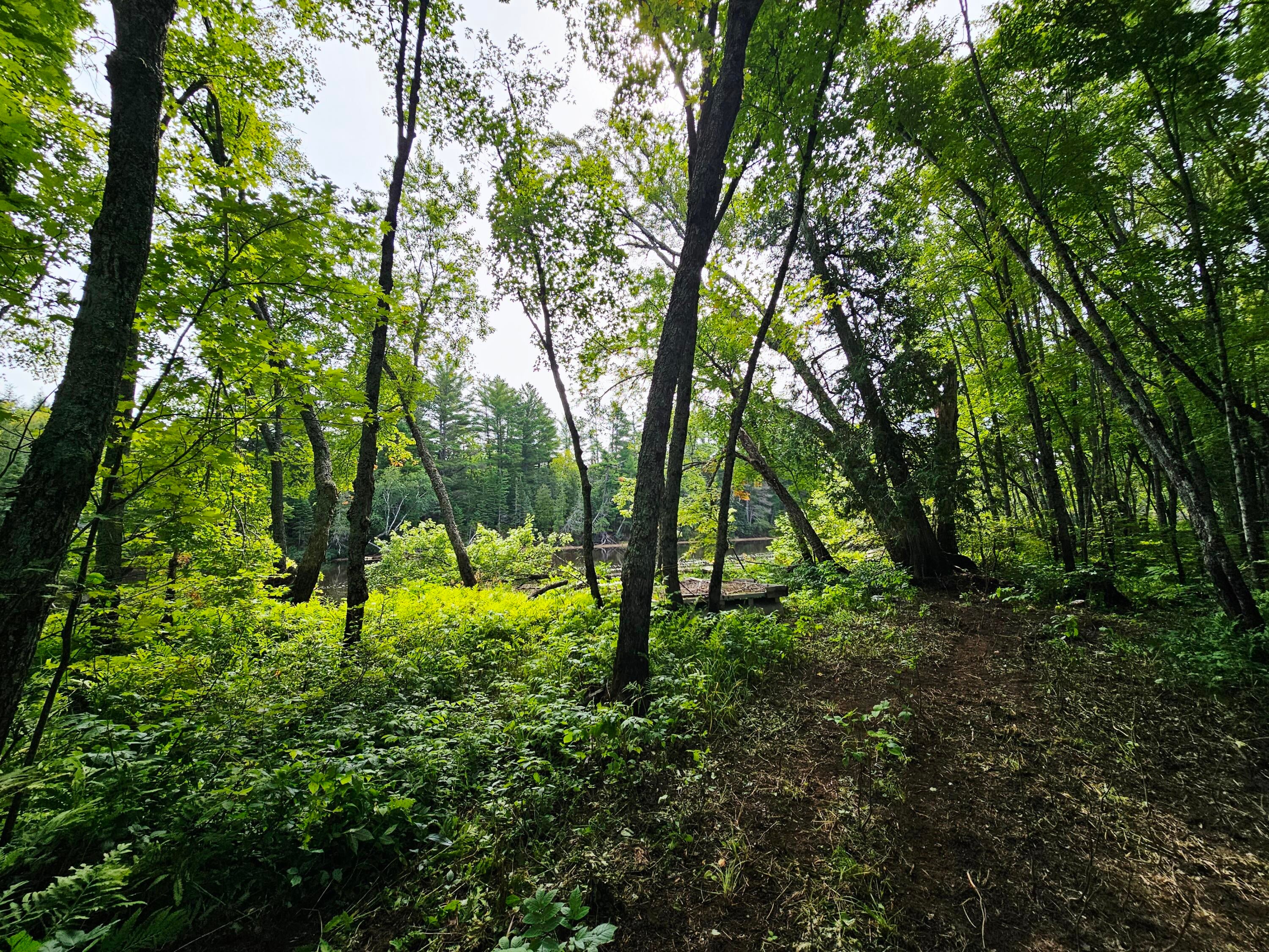 0 Smith Road Newberry, MI 49868 - Photo 13 of 31 Gallery Image 13