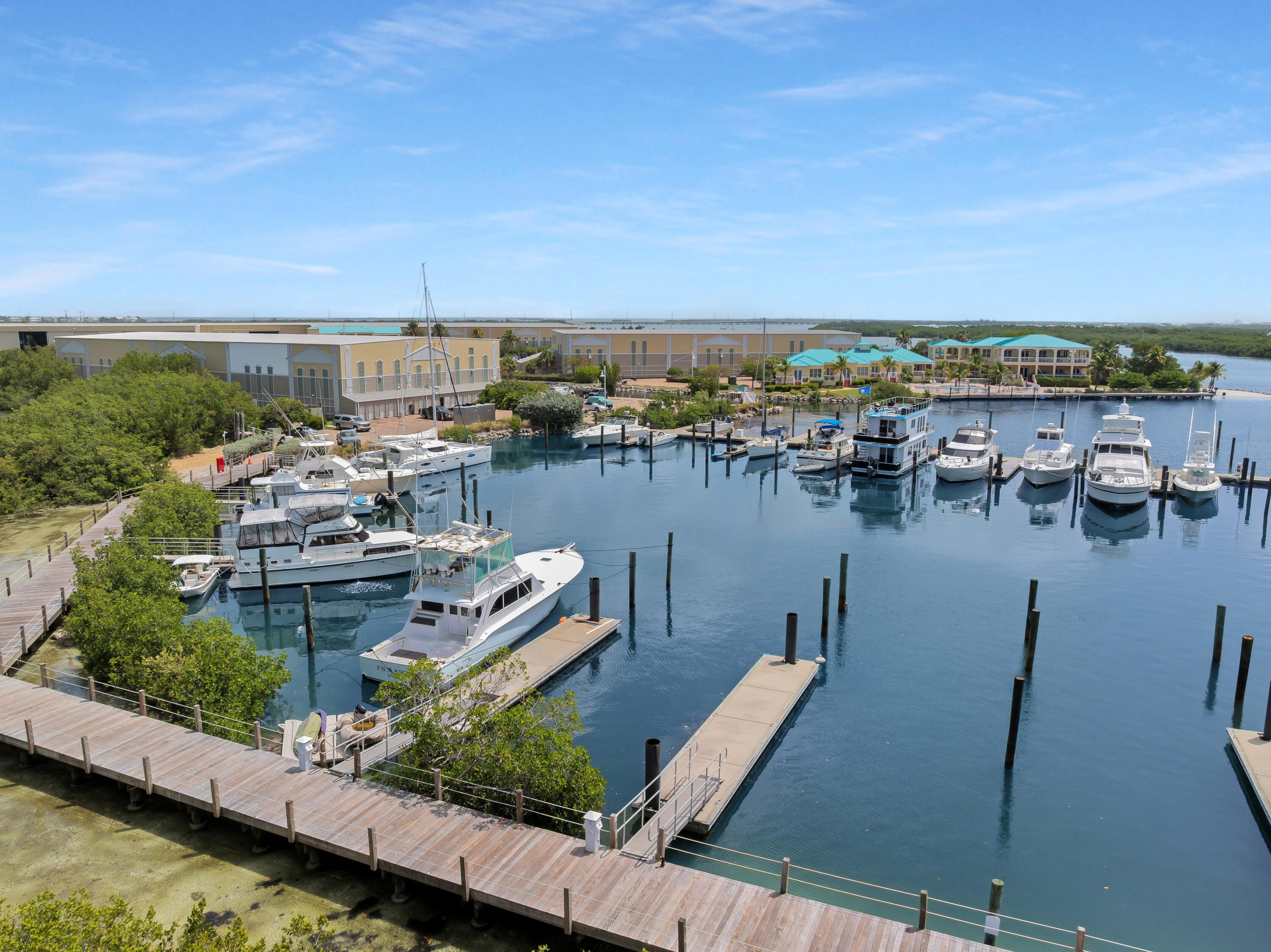 a view of a lake with a city view