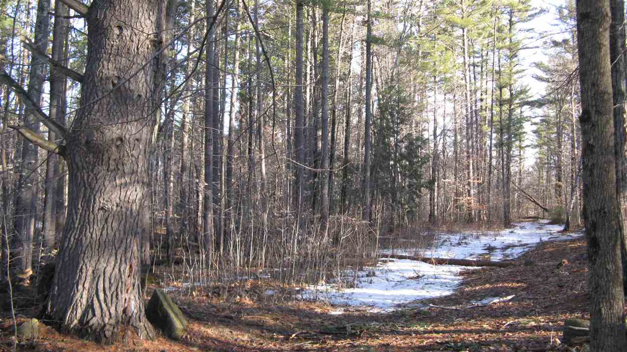 Lot 1 Mcmanus Road Wolfeboro, NH 03894 - Photo 8 of 16 Gallery Image 8