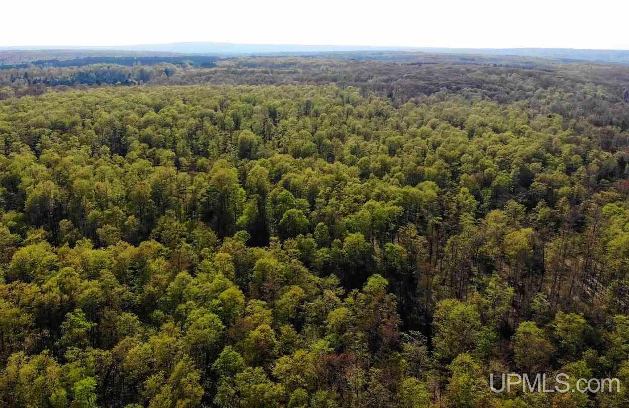 Tbd Rauhala Road, Unit PARCEL 7 Atlantic Mine, MI 49931 - Photo 6 of 15