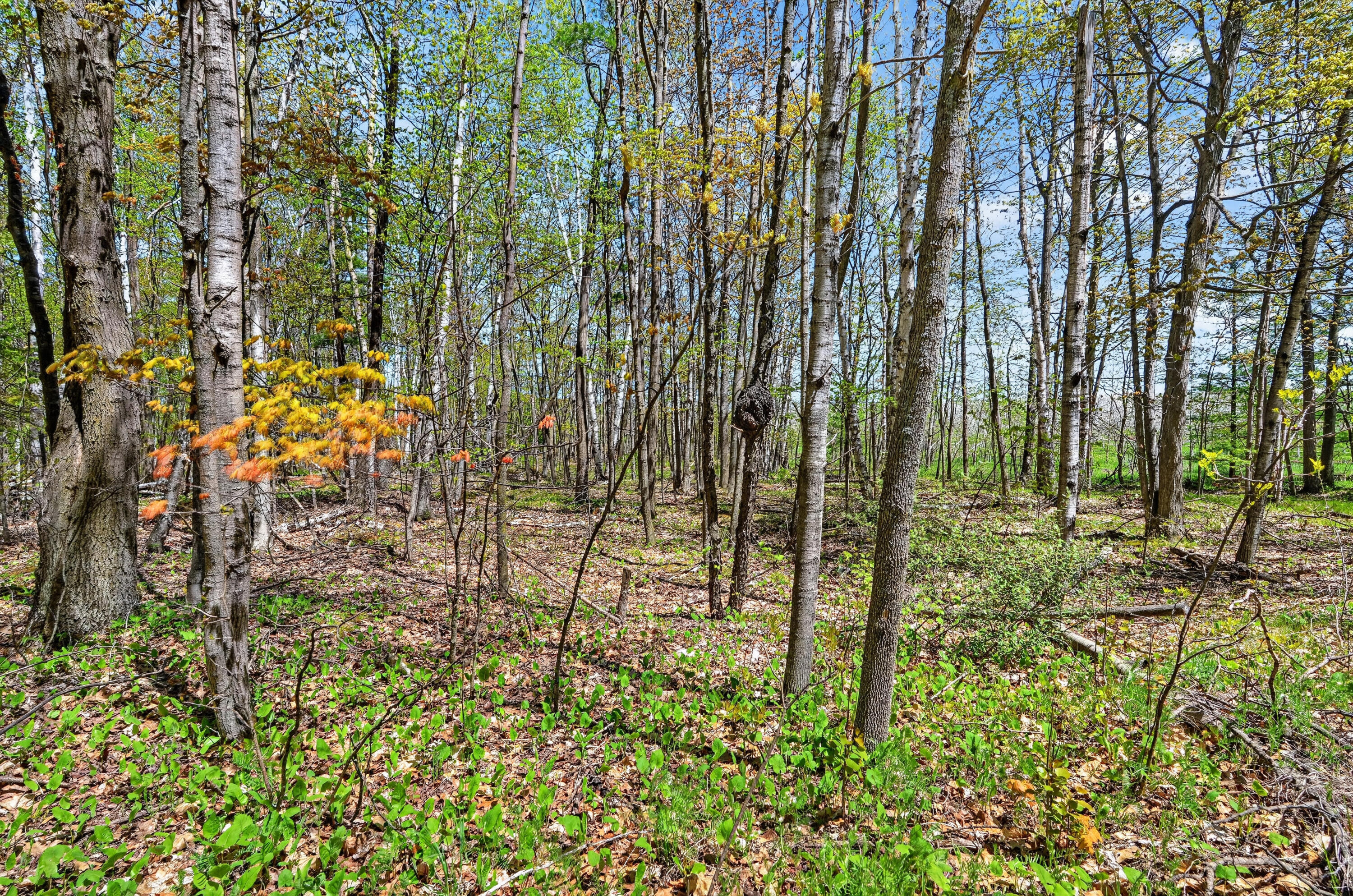 Parcel Old Orch Road, Unit 180221322812D Ellison Bay, WI 54210 - Photo 10 of 16 G - 2