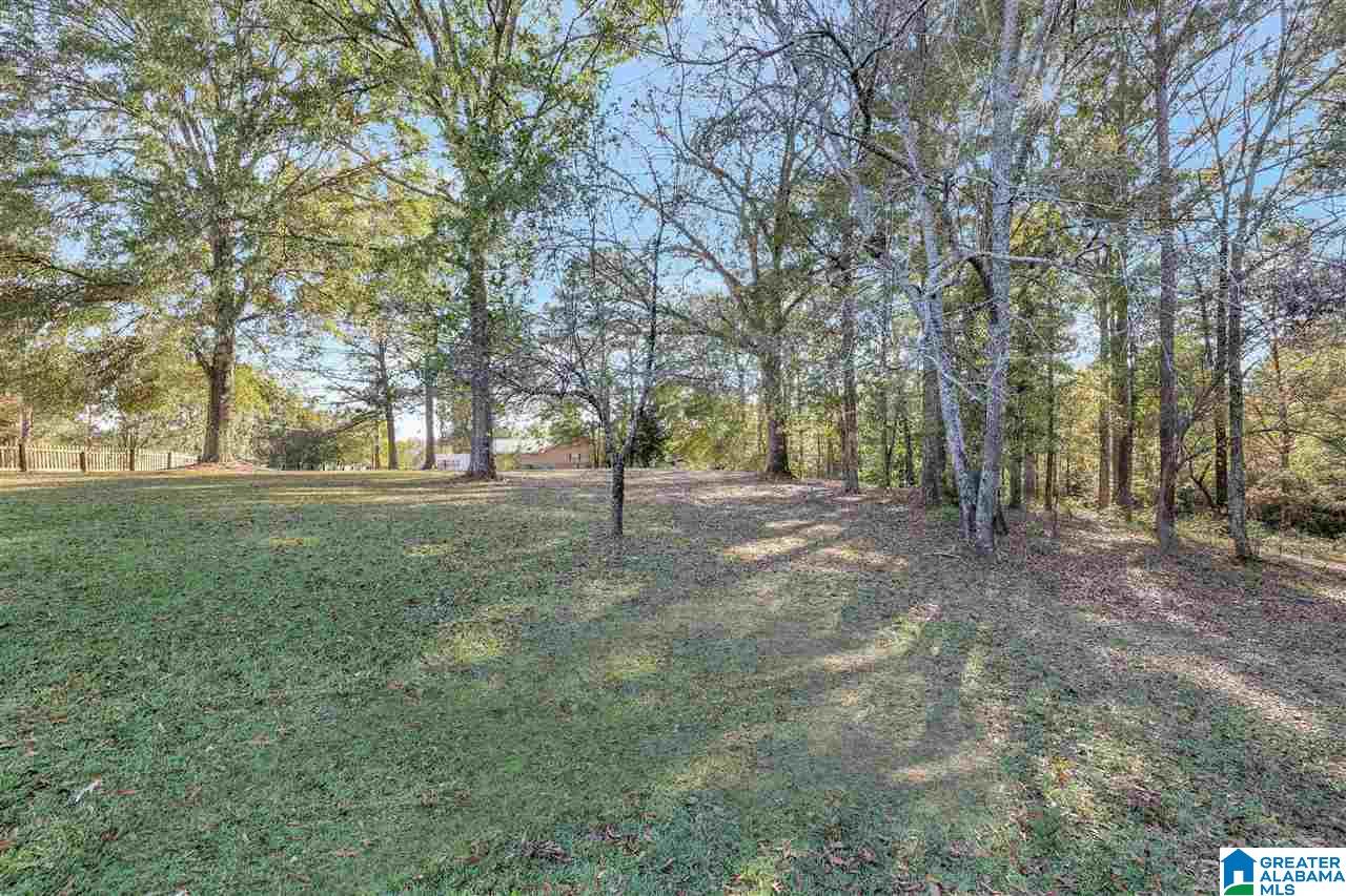 2868 Mt Moriah Road South Pell City, AL 35125 - Photo 32 of 40