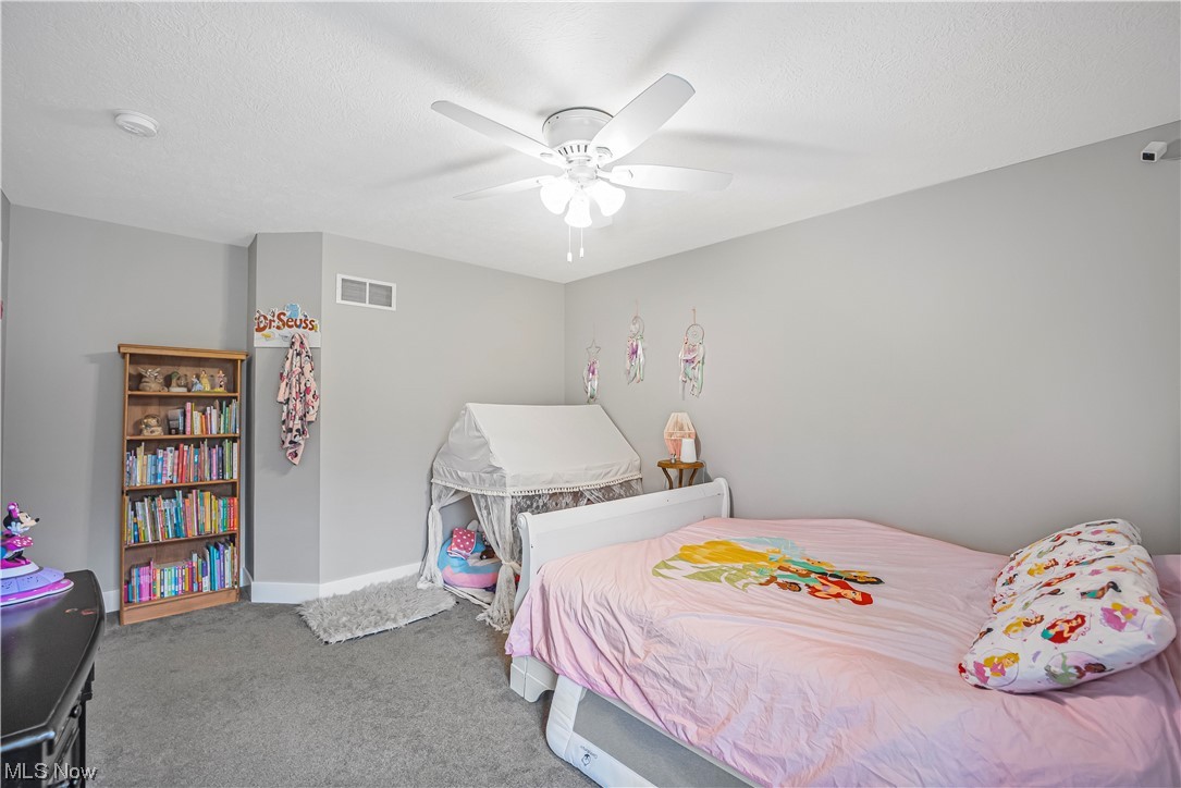 601 Horning Road Atwater, OH 44201 - Photo 21 of 43 Gallery Image 21