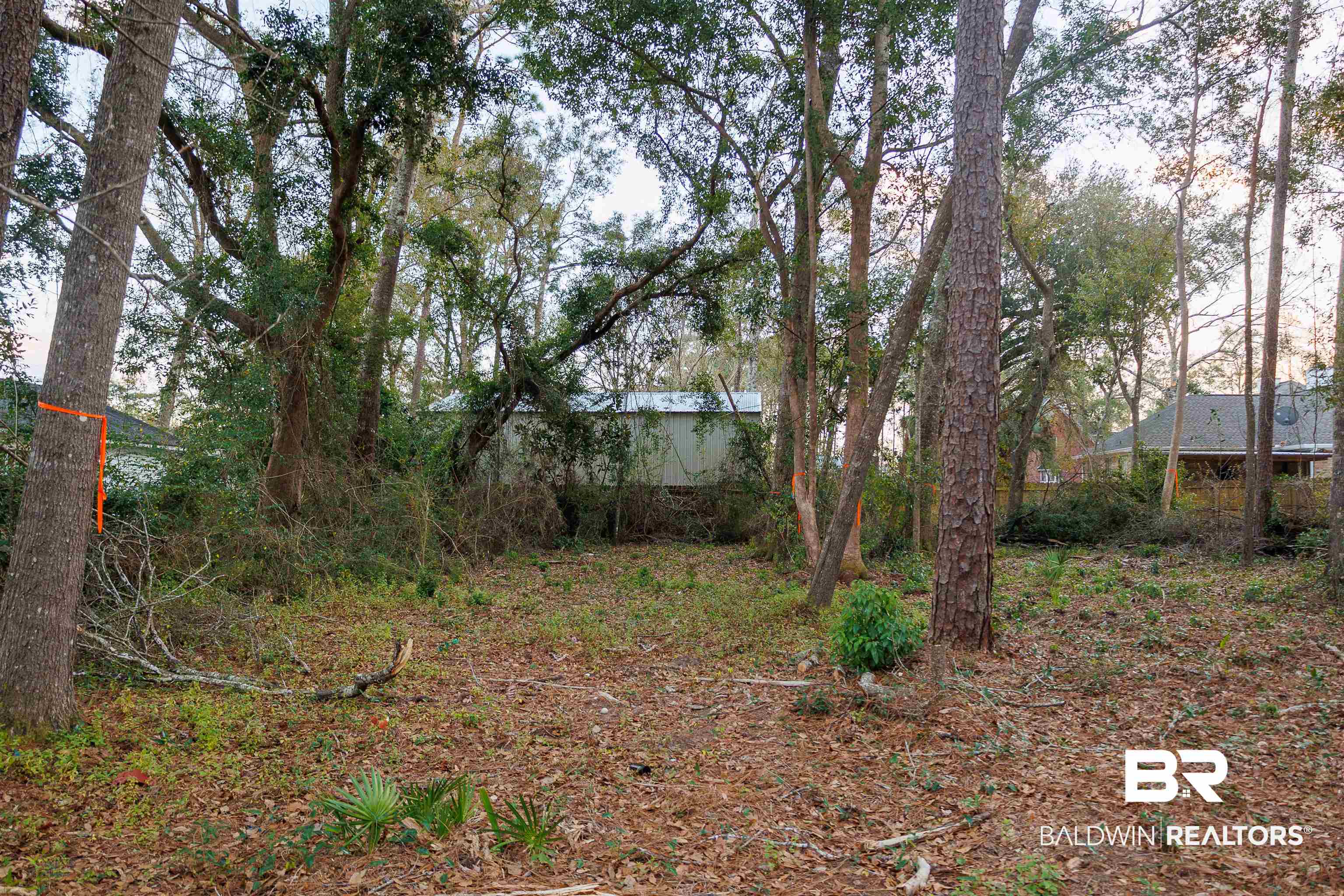 22622 Pineview Lane Foley, AL 36535 - Photo 4 of 11