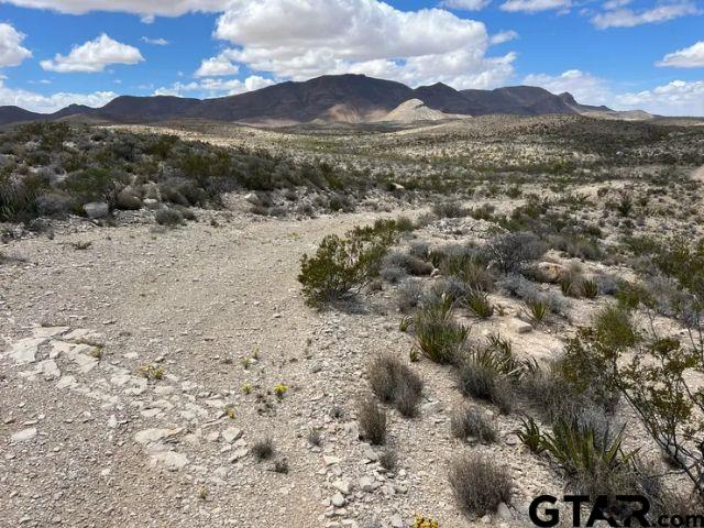 a view of a town with mountains in the background