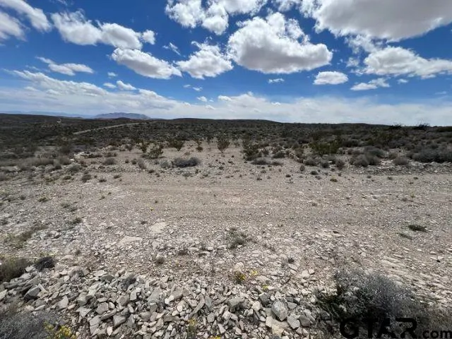 a view of a dry yard with wooden fence
