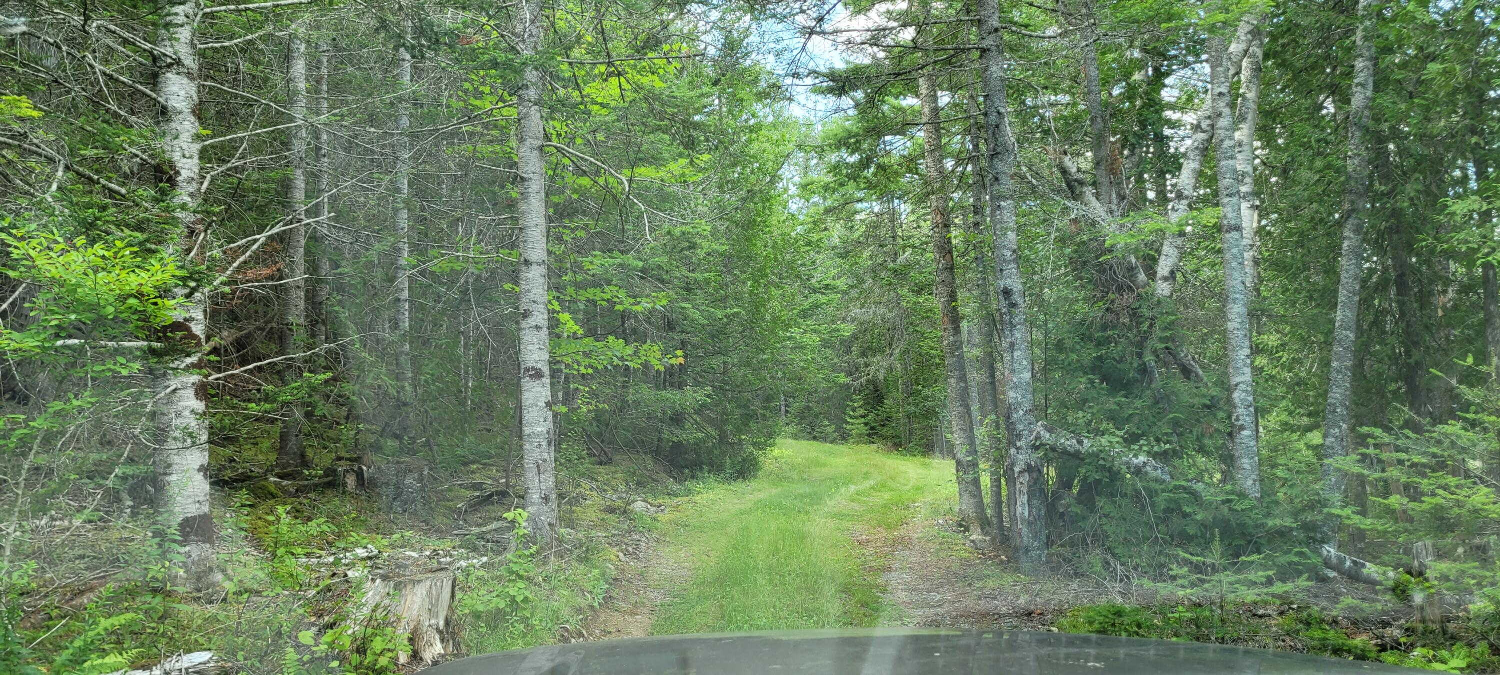 0 Shipyard Road Dennysville, ME 04628 - Photo 11 of 11 20210801_133440