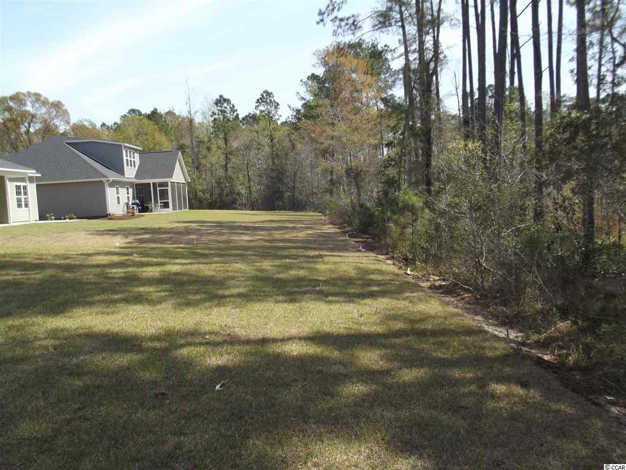 475 Carrick Loop Longs, SC 29568 - Photo 21 of 21 Gallery Image 21