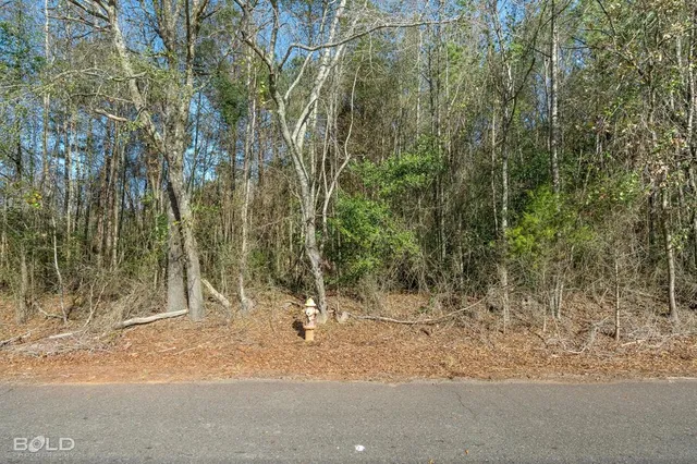 a view of a road with trees in the background