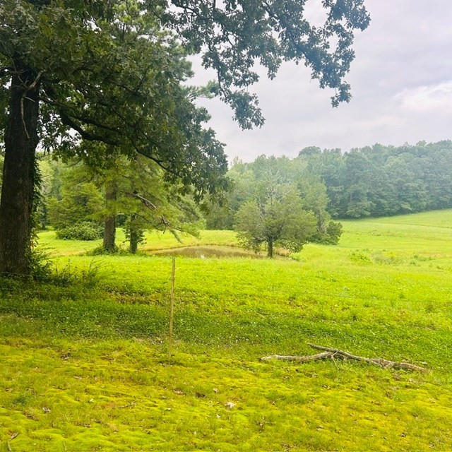 1030 Stones Road Camden, TN 38320 - Photo 10 of 54 Gallery Image 10