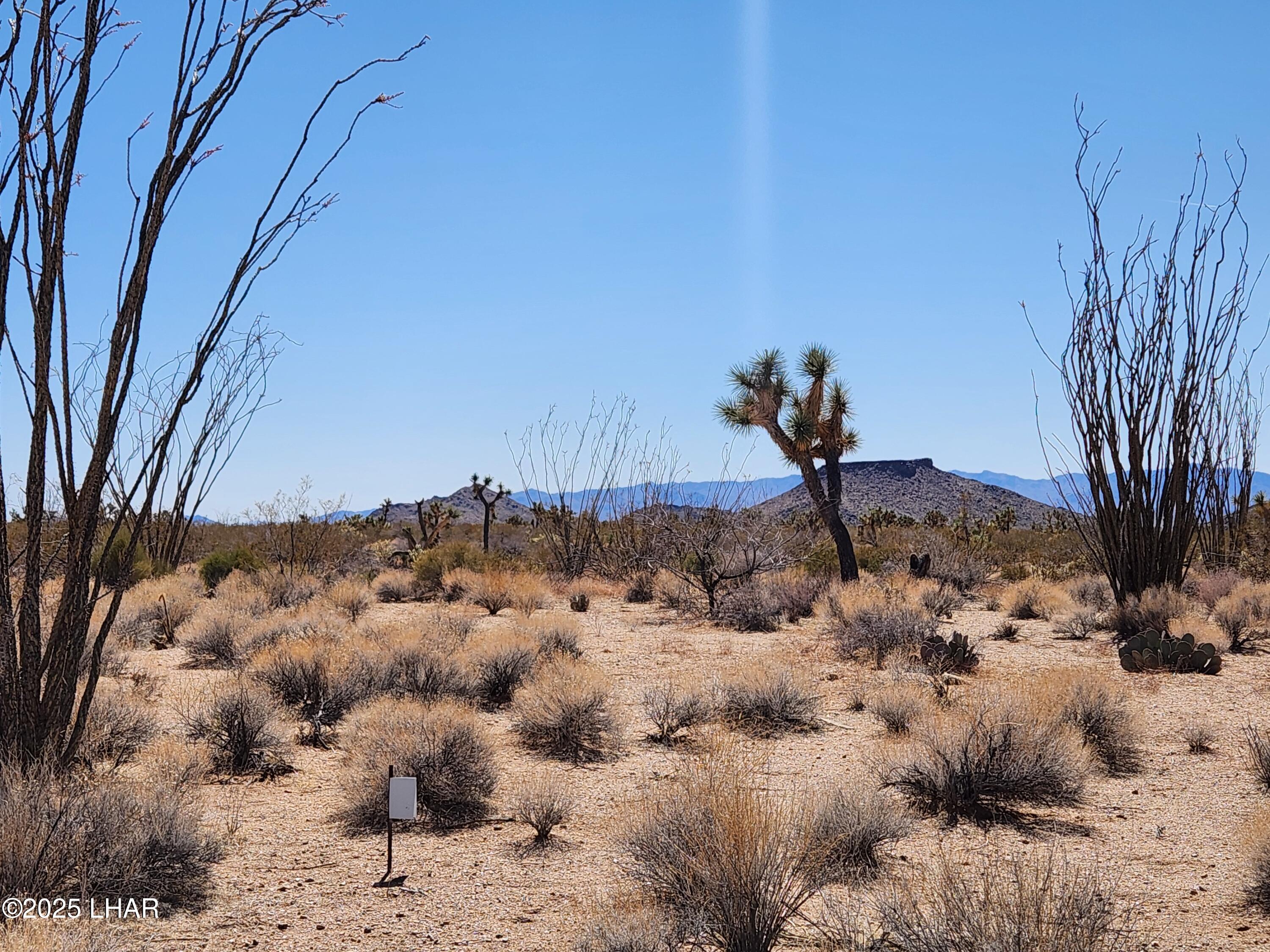 Lot 135 East Mission Road Yucca, AZ 86438 - Photo 1 of 12 20250319_134729