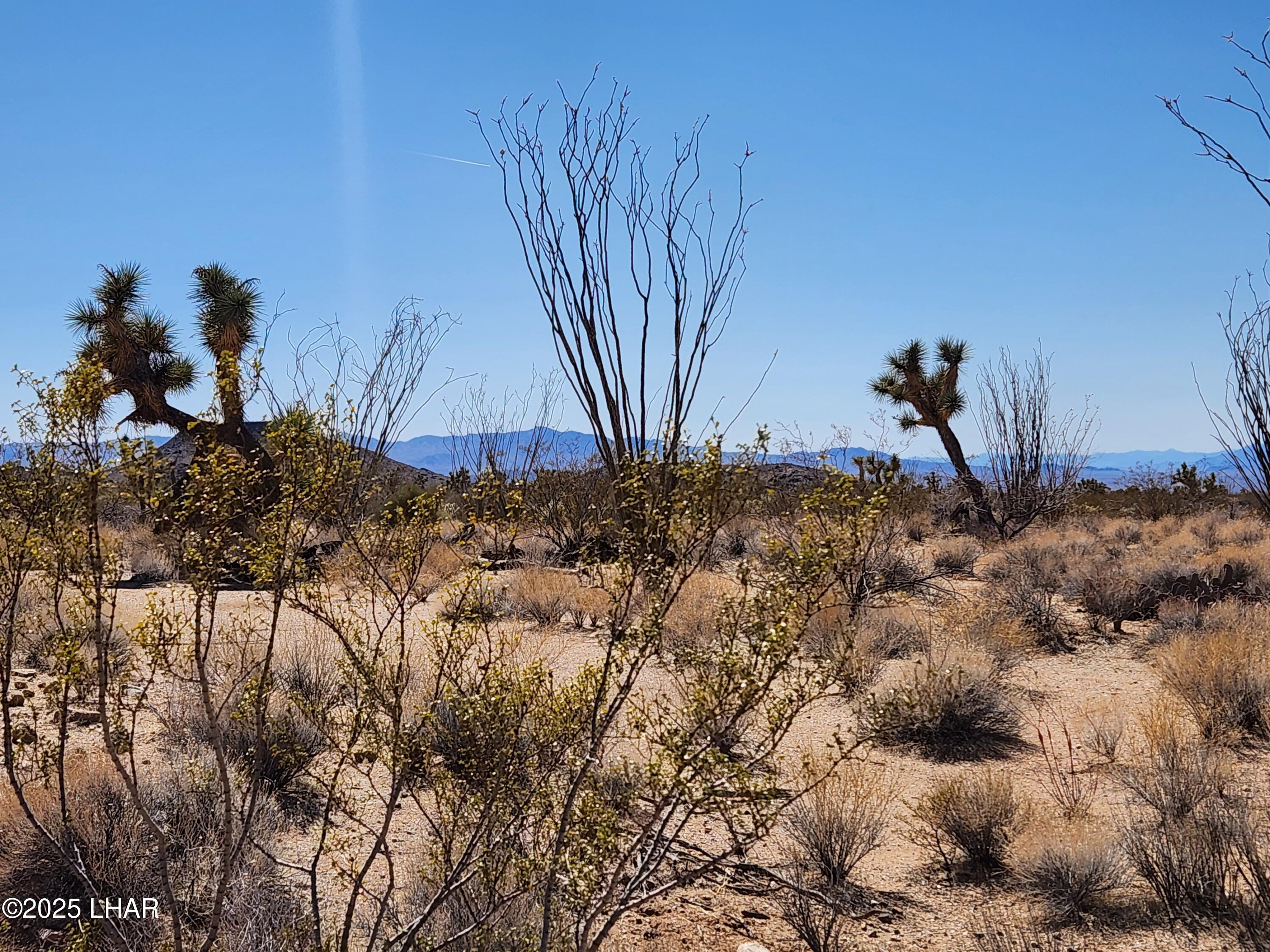 Lot 135 East Mission Road Yucca, AZ 86438 - Photo 3 of 12 20250319_134708