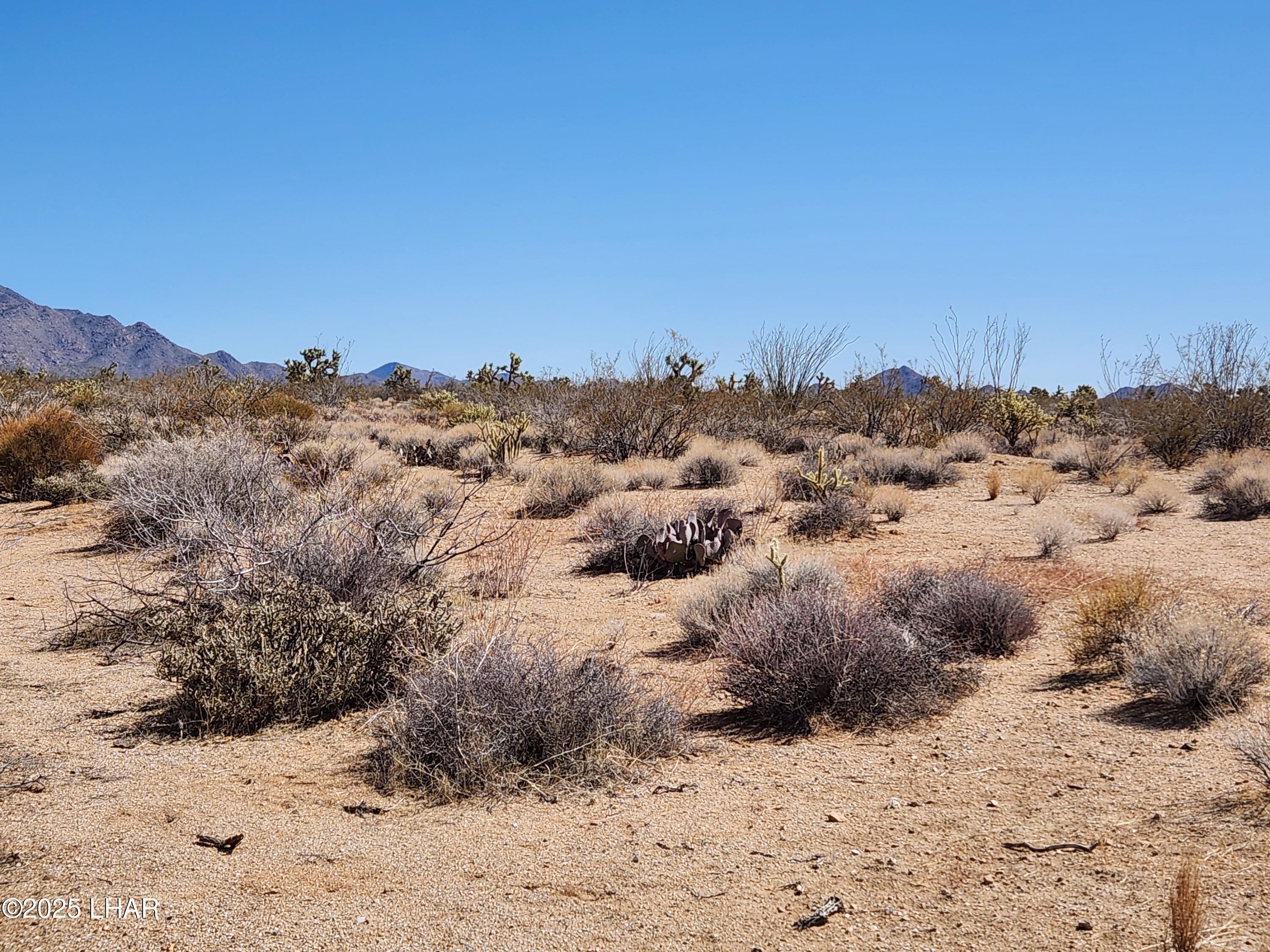 Lot 135 East Mission Road Yucca, AZ 86438 - Photo 4 of 12 20250319_134711