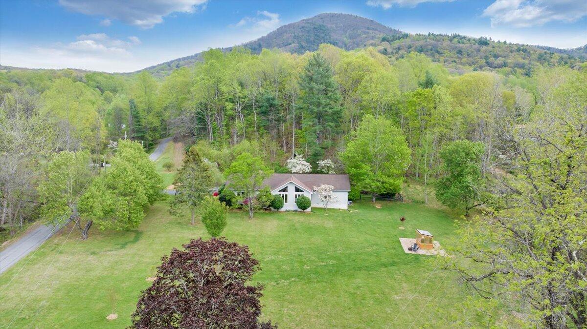 6925 Shaver Road Roanoke, VA 24018 - Photo 84 of 94 a view of a city with lush green forest