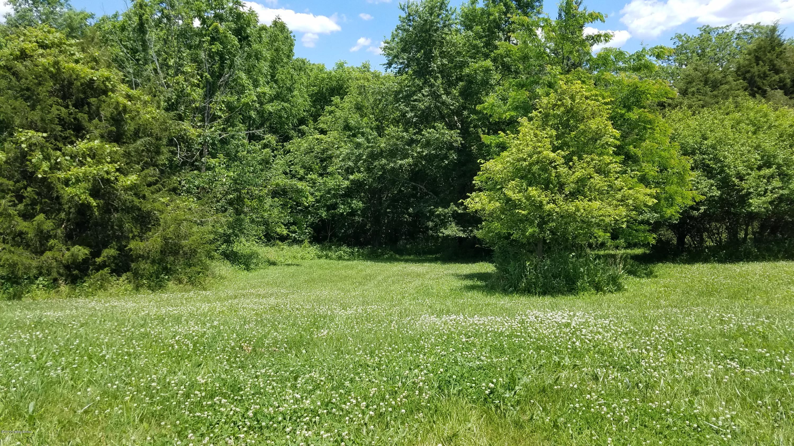 656 New Cut Road Campbellsburg, KY 40011 - Photo 3 of 6 20200612_134957