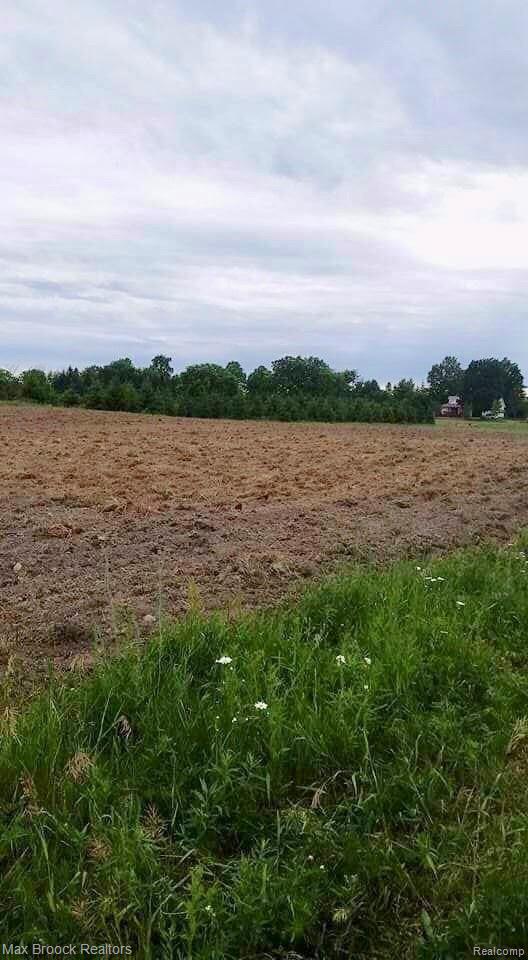 5325 Treasurer Road Mayville, MI 48744 - Photo 41 of 51 976A20D5-82C9-492B-B3DD-351E63F25523.jpeg