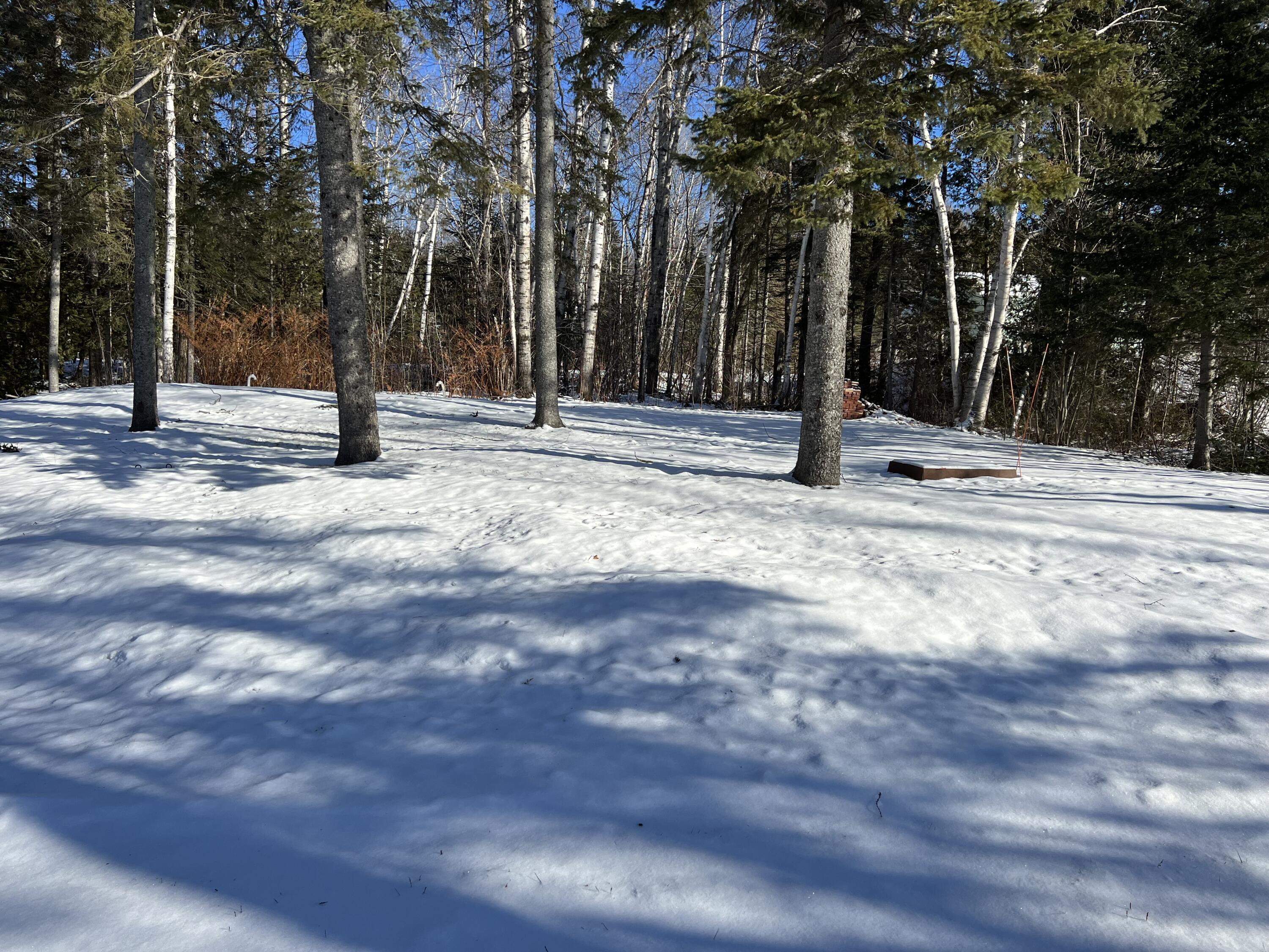 943 Lake Shore Road St. David, ME 04773 - Photo 84 of 142 IMG_5472